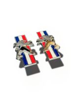 آرم گلگیر دو عددی پژو پرچم