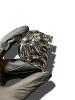 آرم شیر - Image 2